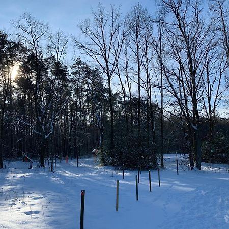 Chalet Liquidambar Зутендал Екстериор снимка